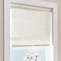 two daisies in a vase on a window sill with the blinds pulled down