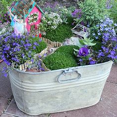 a garden filled with lots of different types of plants