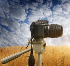 a camera on a tripod in front of a wheat field with blue sky and clouds