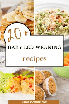 baby led weaning recipes