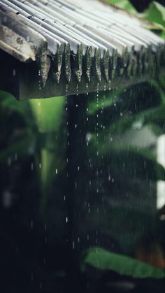 rain falling down on the ground next to a wooden slatted structure and green leaves