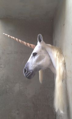 a white horse with long blonde hair standing in a room next to a wall and looking at the camera