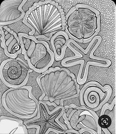 an abstract coloring page with shells and starfishs