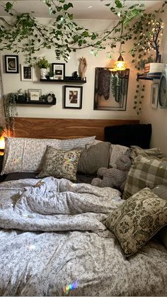 an unmade bed with many pillows and plants on the headboard, hanging above it