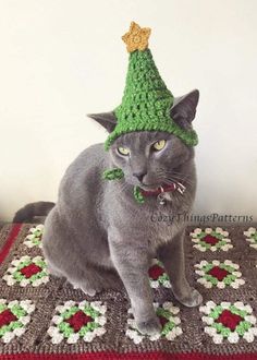 a gray cat wearing a green crocheted hat on top of a rug with flowers