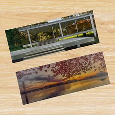 two photographs of benches and trees in front of a wooden background with the same photo