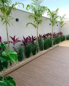 a wooden deck next to a white wall with purple flowers and green plants growing on it