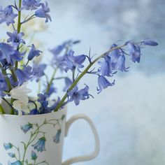 blue and white flowers in a coffee cup