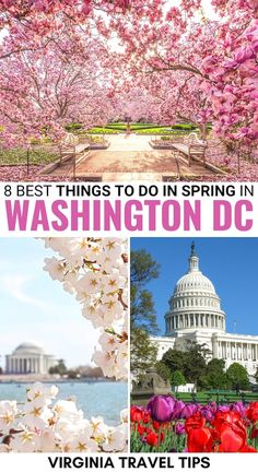 washington dc with the capital building in the background