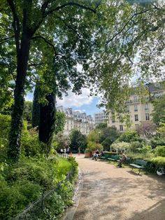 an empty park with benches and trees in the foreground