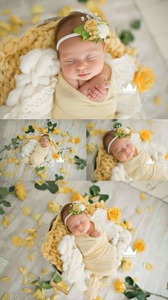 a baby is sleeping in a basket with flowers on the floor and yellow petals all around it