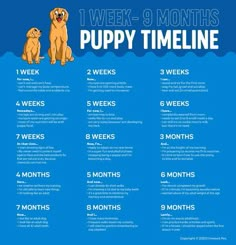 a poster with instructions on how to use puppy time