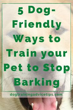 a close up of a dog with the words 5 dog friendly ways to train your pet to stop barking