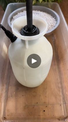 a white vase sitting on top of a tray filled with rice next to a potted plant