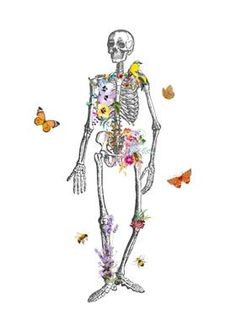 a drawing of a skeleton with flowers and butterflies around it