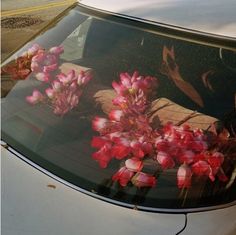 a white car with pink flowers on the windshield