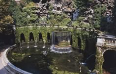 a fountain surrounded by greenery in the middle of a park