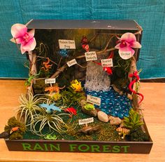 a box that has plants in it and some signs on the front with words reading rain forest