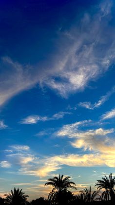 an airplane is flying in the sky with palm trees behind it at sunset or dawn