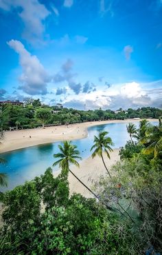 palawan beach in Sentosa, Singapore, lagoon lined with palm trees and sandy beach