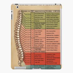 a diagram of the human skeleton and its major functions ipad case / skinplates