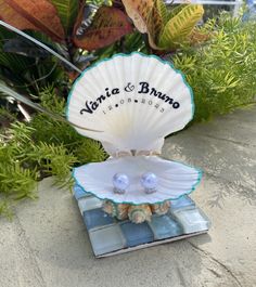 a seashell with two pearls on it is sitting in the sand next to some plants