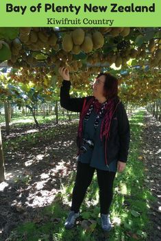 a woman standing under a tree with lots of fruit hanging from it's branches