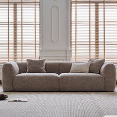 a living room scene with focus on the couch and window blinds that are open in the background