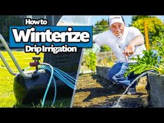 an image of a man watering plants in his yard with the words how to winterize drip