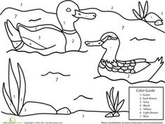 a coloring page with two ducks swimming in the water