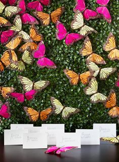 there are many pink and yellow butterflies on the wall