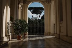 an arched doorway with potted plants in the center and trees on either side at the end