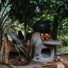 an outdoor wood burning stove with logs around it