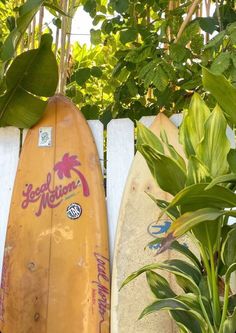 two surfboards leaning against a white picket fence in front of some trees and plants