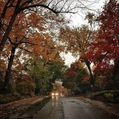 two cars are driving down the road in the fall season with leaves on the ground