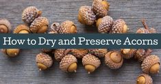 acorns on a table with the words how to dry and preserve acorns