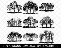 the silhouettes of trees are shown in black and white