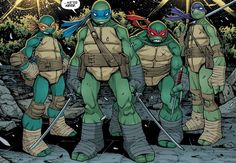 an image of teenage mutant turtles in the comic