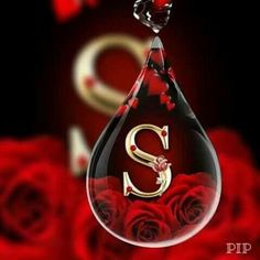 the letter s is placed in a drop shaped glass vase with roses around it on a black background