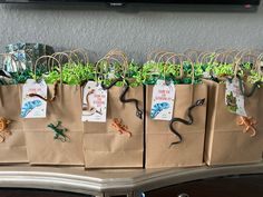 several bags with plants in them on a table