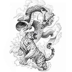 Tiger Design Tattoo, Tiger Drawing Tattoo, Lion And Tiger Tattoo, Tiger Drawing Sketches, Tiger Vs Dragon, Dragon Tiger Tattoo, Tigre Y Dragon, Tiger Sketch