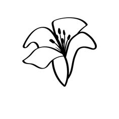 a black and white drawing of a flower