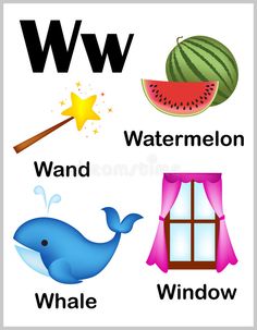 the letter w is for watermelon, whale, window and other things that are in