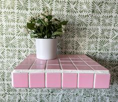 a potted plant sitting on top of a pink tiled shelf