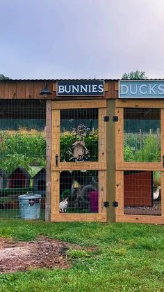 a bunch of animals that are in some kind of caged area with the words bunnies and ducks on it