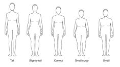 the body shape chart shows different types of people's bodies, and how they are arranged