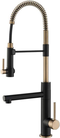 a kitchen faucet with two handles and an arm spout, in black and gold