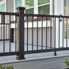 a black metal railing with purple flowers in the window boxes