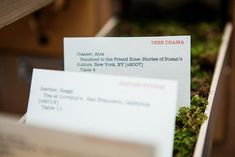 two business cards sitting on top of each other next to some moss growing in boxes