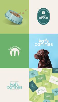 the logo for cats and canines is shown in four different colors, including green, blue